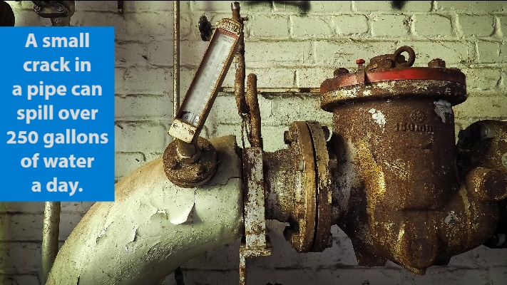 Local-plumbers