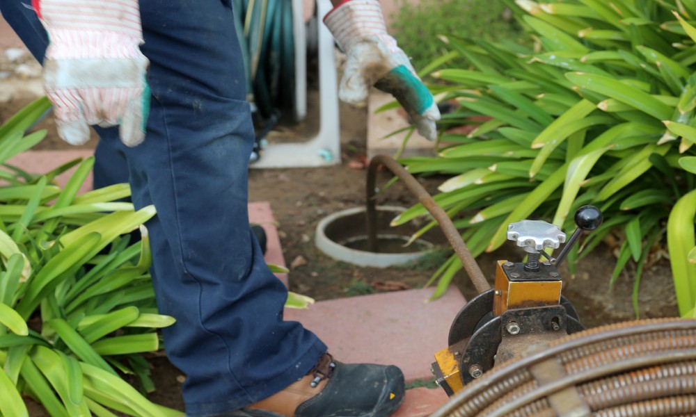 sewer line root removal